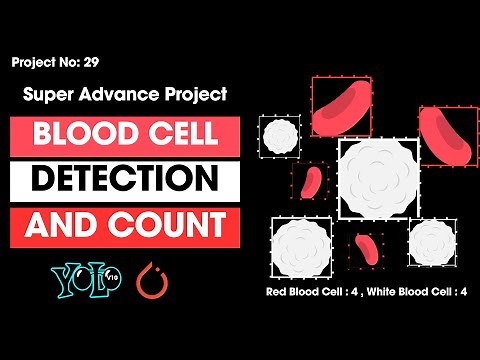 Project 29: Blood Cell Detect and Count Using YOLOv10 | YOLOv10 Object Detection l Custom Dataset