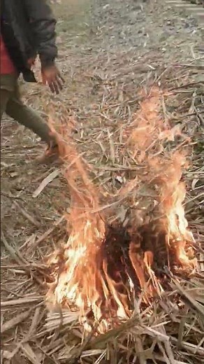 🔥 What is Fire? | The Science Behind Flames🔥🔥