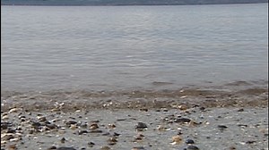 Tsunami trash could wash ashore on NW beaches within a year