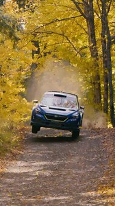 14K views · 1.9K reactions | See how much fun the team had this past weekend in our Lake Superior Performance Rally recap video. Now live on the @subaru_usa YouTube channel.  Link in bio #r53suspension / #subaruwrx #subaru #rally #motorsports | Subaru Motorsports USA | Facebook