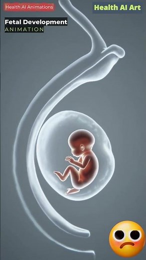 Fetal Development Animation | Health AI Art | 31