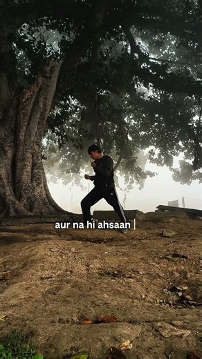 Skill: High-impact Taekwondo Kicks and Boxing CombCombination #taekwando #combatsport