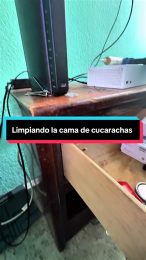 Cómo acabar con las cucarachas en casa