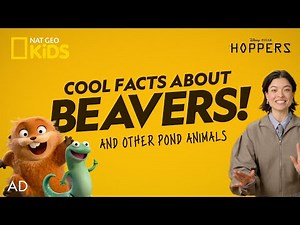 AD | Hoppers Clips and Activities! 🦫 | Hoppers is now playing in theaters 🍿 | ‪@natgeokids‬