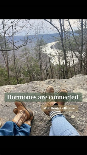 Hormones work as a system. Blood sugar, stress, gut health, sleep, and inflammation all influence how hormones communicate. 🌿 That’s why fixing “one hormone” rarely works long term! Save this if you’re trying to understand your hormones as a whole 🤍 #wildrootscollective #holistichealing #hormonebalance #functionallabtesting