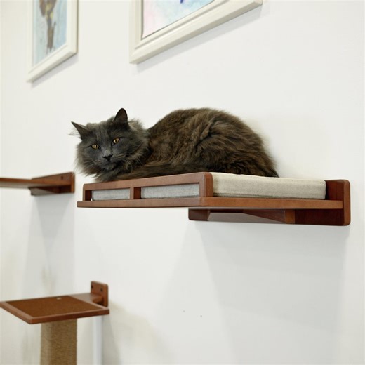 Handcrafted Wood Cat Wall Bed & Steps: Modern Cat Furniture Set - Etsy