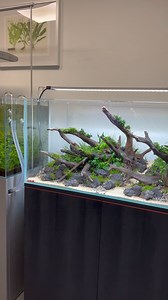Aquarium Gardens on Reels