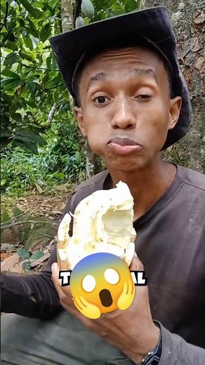 These 5 Craziest Fruits on Earth Will Blow Your Mind! #fruit #weirdfruits #strangefruits