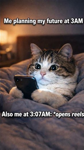 POV:3AM motivation hits different 😭📱#relatable #funny