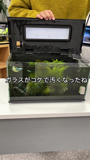 スマート水槽の新時代：ビオリウムコラボ