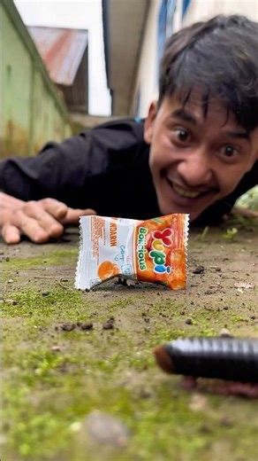 This Simple Fruit Attracted So Many Millipedes!#shortvideo#centipede