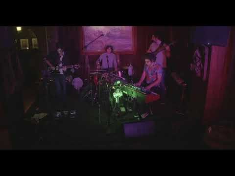 Low Poly Cactus live at The Redwood Bar