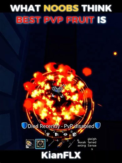 Best BLOX FRUIT For Noobs VS Legends...