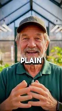 How do I plant mycelium the exact way American agronomists recommend?