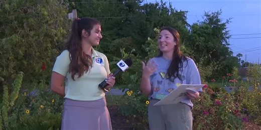 The Great Southeast Pollinator Census