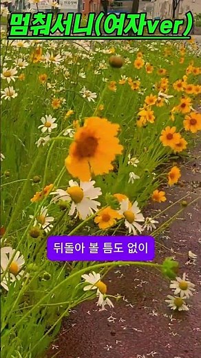 멈춰서니 [중년의 삶을 담은 노래 🎶🍂] #중년노래 #인생노래 #7080노래 #조용한노래 #까페음악 #감성발라드 #듣기좋은노래 #슬픈노래 #길끝에서서