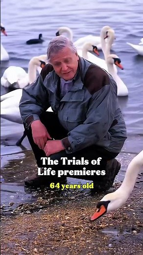 Sir David Attenborough 🌍 | Legendary Journey Through the Years