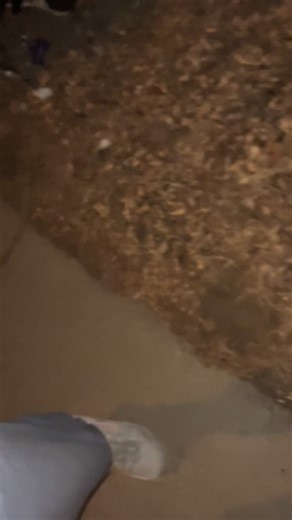 Krizia Summers on Instagram: "Day 10 : Outside workout. I normally run but not today. We did it tho…… #75hard"