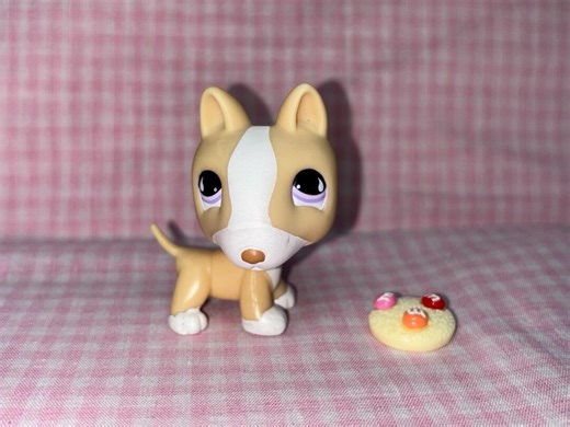 Rare LPS Littlest Pet Shop Bull Dog With Cookie (005) - Etsy