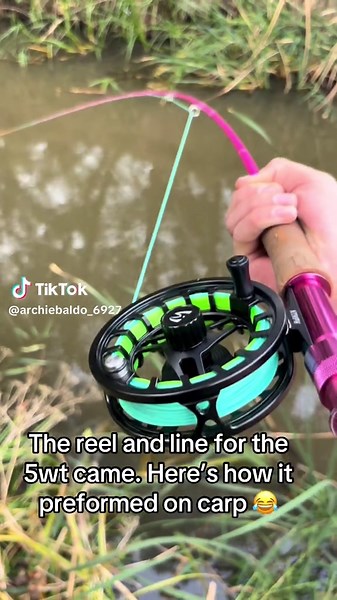 The rod bend was crazy even though it was a micro. On 4lb leader almost went into the snags got super lucky #flyrod #fishinglifestyle #fishinglife #flyfishing #carp #happy #happiness