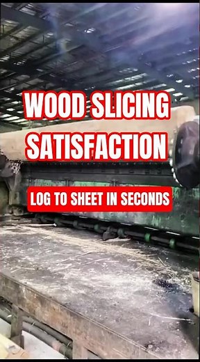 This Machine Slices Wood Like Butter! Hypnotic Veneer Making Process