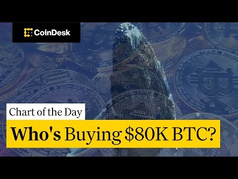 Bitcoin Whales Buy the Dip as Retail Capitulates Amid Fear