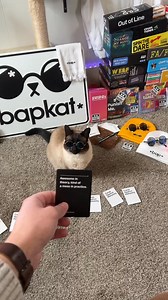 Crazy example. #cat #bap #fyp #oof | bap.kat