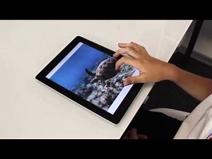 Wizard School App Overview