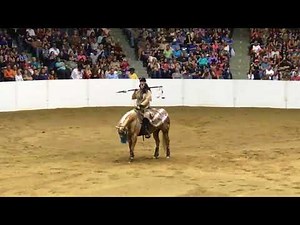 Freestyle Reining 2017 Quarter Horse Congress