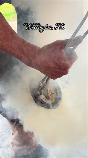 Wellington Florida, where the horses move in cursive writing. #wellington #farrier #apprenticeship #dressage