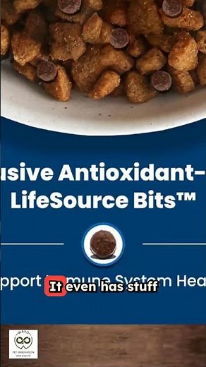 Blue Buffalo Adult Dog Food, Chicken & Rice, Natural Ingredients, 15 lb