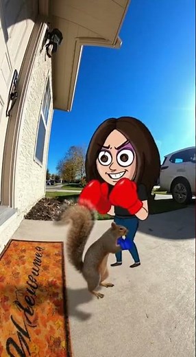 Cartoon Girl vs Squirrel Boxing Match—The Ultimate Showdown #boxing #cartoon #squirrel