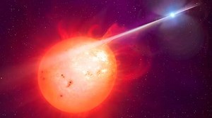 Hypernova vs. Supernova: The Cosmic Explosion Showdown