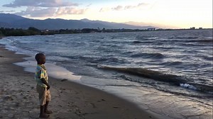 303K views · 3.4K reactions | In concomitanza con la Giornata...