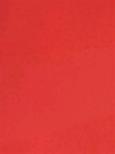 aella kaiya on TikTok