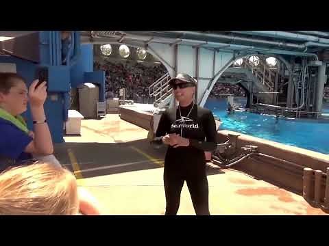 SeaWorld "In Depth": Orca Stadium / Orca Shows (Past & Present) / Behind the Scenes