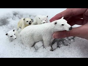 A Polar Bear Story|schleich|