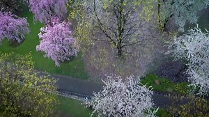 Whether it's architectural gems or natural gems, Newark has it all. Video courtesy of Forest Hill Community Association | The city of Newark, NJ