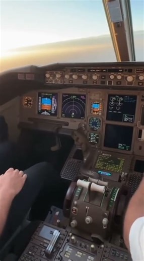 Cobra in Pilots Cabin #aishorts #airplaneviral #sora2 #unexpectedmoment #automobile #snakeonaplane