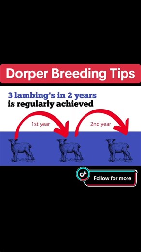 LINTARI FARMS on TikTok