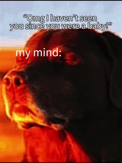 Exploring the 'Who Are You' Meme Phenomenon