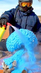 Against All Odds: How a Zebra Saved a Cape Genet #AI #shorts #animalrescue #animals | News End Cops