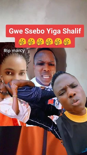 *Burdizzo*Power Music 🎤🎤 (@bud.burdizzo_official)’s videos with original sound - *Burdizzo*Power Music 🎤🎤