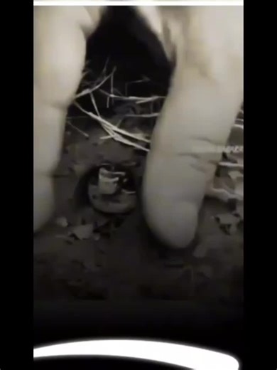 Alpha Entertainment (@alpha.entertainme6)’s videos with original sound - Alpha Entertainment