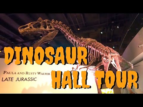 DINOSAUR HALL TOUR / Houston Museum of Natural Science
