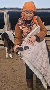 Orkhon Battomor on Reels