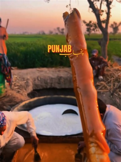 Punjabi bol: Pure Aura — Punjabi culture highlights