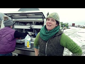 Large Animal Veterinarian Dr. Jenni Grimmett Castrates a Steer