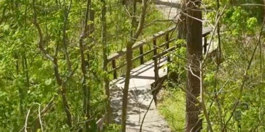 Springfield Conservation & Nature Center preserving a little piece of natural beauty in the Ozarks