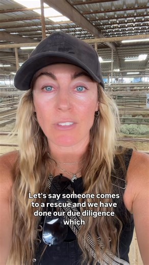 PART 2: I AM SO CONFUSED! Let’s go back to that same $5,000 horse example… People will walk into a rescue and hear that a horse has had Osphos and Legend shots — or hock, stifle, or coffin joint injections — and immediately panic. Suddenly, the horse must be “crippled” or “unsound.” But here’s the thing — that’s not what those treatments mean. It means the horse has finally received the care it needed. We do these things because THAT IS WHAT RESCUE IS. We’re making up for years of neglect. We’re